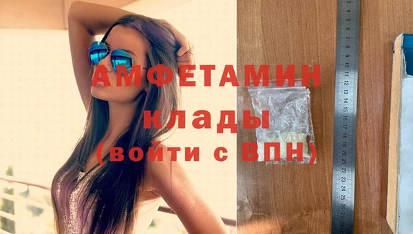 винт Алзамай