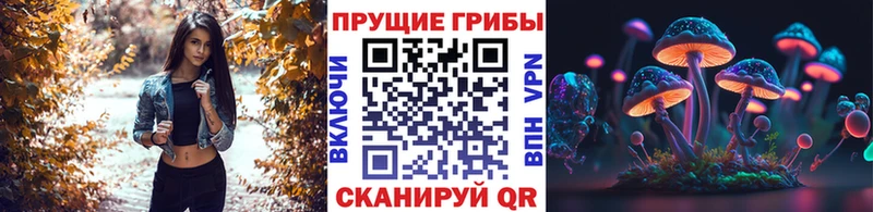 Галлюциногенные грибы Psilocybine cubensis Талица