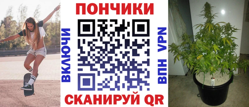 Марихуана гибрид  Талица 